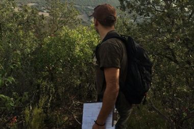 Ingeniería Forestal