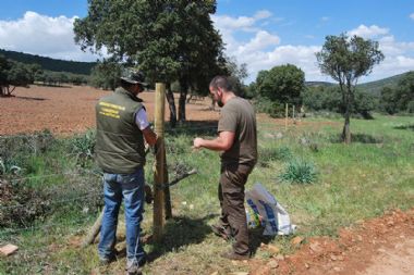 Instalación Pastores Eléctricos