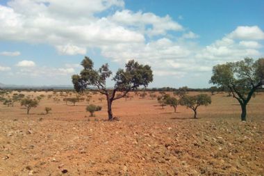 Trabajo de Campo